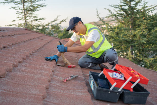 Best Flat Roof Repair Services  in Sabetha, KS
